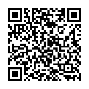 但是偏偏这许紫烟很快就会正式成为自己宗门的弟子二维码生成