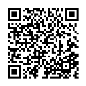 但是六长老却是发自内心地真正地将苏落当做自己人二维码生成