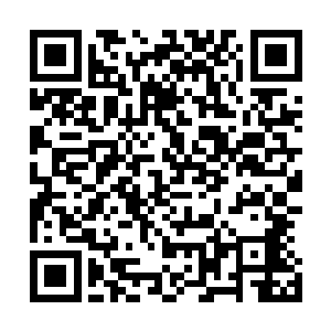 但是关于禁忌之地的传闻以及马文的警告还是让他望而却步二维码生成