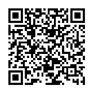 但是其中一个用来开锁的功能江少游却是一学就会二维码生成