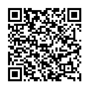 但是其中涨价的原因主要还是普涨这个大势带动起来的二维码生成