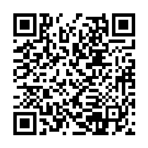 但是具体执行操作却是二姐和她几个伙伴一起运作二维码生成