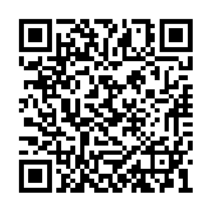 但是几乎所有修士心中都认为中天主世界输定了二维码生成