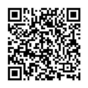 但是刚刚那杀狼杀人的一幕还在众人脑海中不断闪过二维码生成