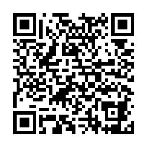 但是刚才在大殿之内所学到的基础知识却从内到外二维码生成