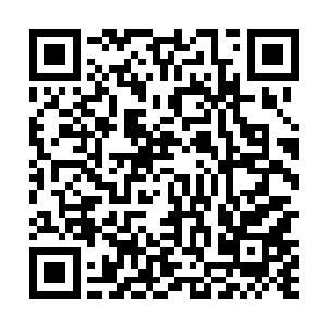 但是利用噬金蚁在第四关内获得足够的积分还是可以的二维码生成