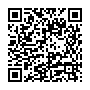 但是别忘了他可是一个五属性灵根的天尊初期巅峰二维码生成