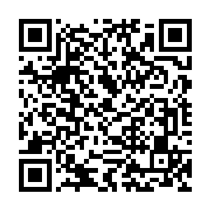 但是别的文明帝国想要进入斯坦帝国却非常的不容易二维码生成