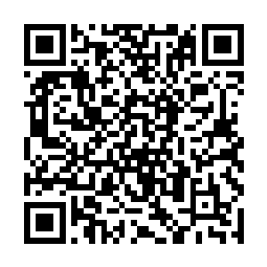 但是到现在却也一直都没有出现任何一个轩辕家的人二维码生成