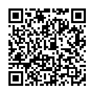 但是剑尘却是毫不犹豫的相信了自己的这种直觉二维码生成