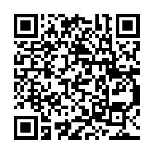 但是单单是从陆青身上散发出来的气息给她的那种压迫气息二维码生成
