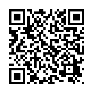 但是卖家能够在几天内运到布拉格二维码生成