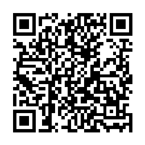 但是卢八娘要把她做为一个试金石去探究司马十七郎的态度二维码生成