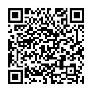 但是却一直并不知道我的前世・一直到乌山夺宝的时候二维码生成