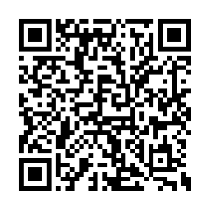 但是却一直没有见到半妖居士寻找她为落阳报仇二维码生成