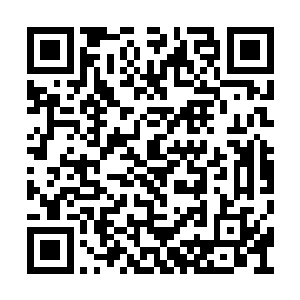 但是却不敢确定自己是否得到了百族英灵的认同二维码生成