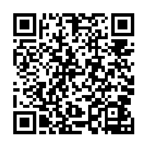 但是却也和许紫烟一样把自己关在了房间里闭关领悟丹道二维码生成
