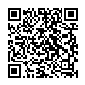 但是却也达不到今天被切开一个口子明天就好的程度二维码生成