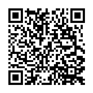 但是却从没想过这份心狠手辣有一天会用在自己身上二维码生成