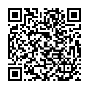 但是却会张开他们的血盆大口朝着队伍这边攻击过来二维码生成