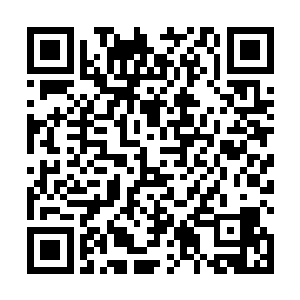 但是却依旧倔强地双手紧紧地握住六臂螳螂的两只前臂二维码生成