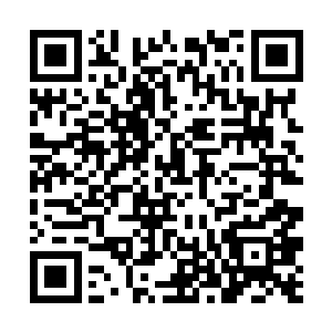 但是却兴趣不减的依旧稳稳的坐在老爸的身边观看着二维码生成