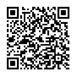 但是却又没人敢要融合了它之后会不会变成一个肉球二维码生成