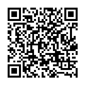但是却只是在两息的时间就被那团火焰烧成了灰烬二维码生成