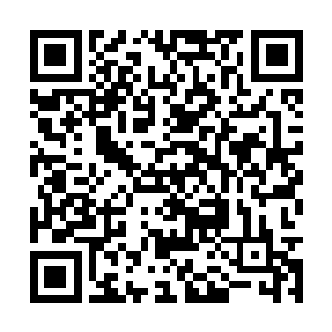 但是却只能在兄长突逝的时候以少年之姿力挽狂澜二维码生成