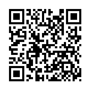 但是却召唤了另外一条成年的红龙追杀伊布二维码生成