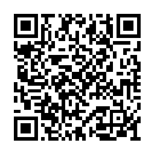 但是却并不知道剑尘和天翼神虎已经强势回归了二维码生成