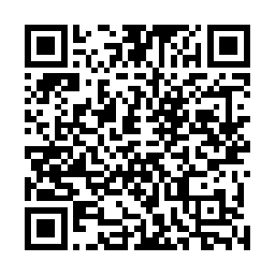但是却很怀疑你的智商……赤手空拳和全副武装的我过招二维码生成