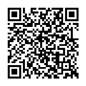 但是却忘了算上定王府的底蕴和墨家军的号召力二维码生成