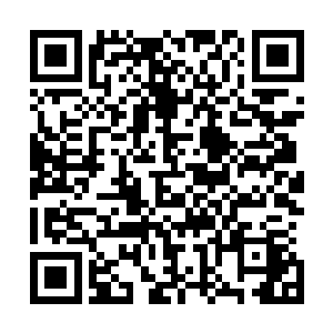 但是却控制不住那种强烈的想要知道里面发生了什么的冲动二维码生成