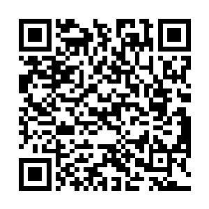 但是却有一个劫道的站在不远处的阴影里等着莫小鱼呢二维码生成