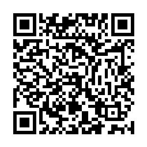但是却沒有办法去拒绝一个老人临死前的最后一个请求二维码生成