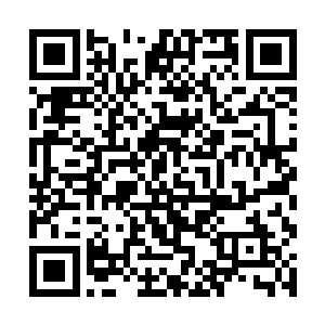 但是却没有人知道他们的谨慎和小心也是制胜的法宝二维码生成