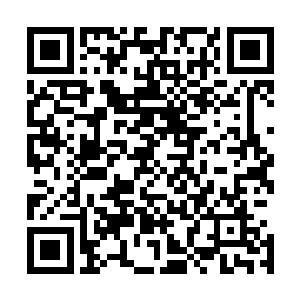 但是却没有想到他受了那么重的伤居然还是如此的相安无事二维码生成