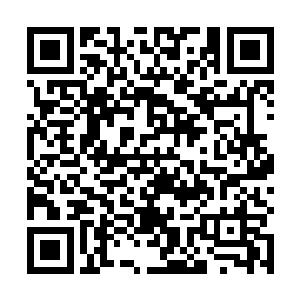 但是却经常想着办法的拐带自己的学生放弃钢琴学唢呐二维码生成