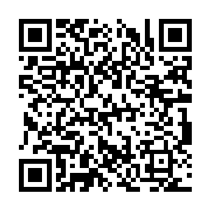 但是却肯定不是上元大陆所有圣级大修士联手之敌二维码生成