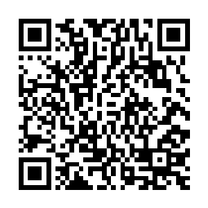 但是却能像那些凶兽一样化为一张巨口向途径的猎物发动袭击二维码生成