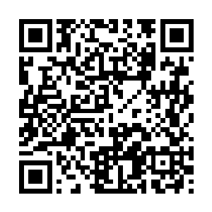 但是却认得他们手臂上缠着的代表守卫的红色布条二维码生成