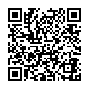 但是却让站在阵法之外的几人全都产生烦恶的感觉二维码生成