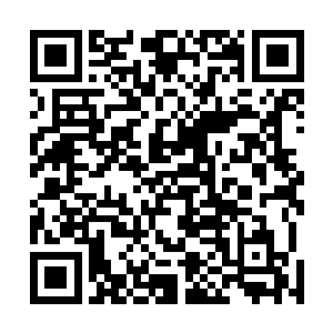 但是又不甘心将自己辛苦策划成了他人嫁衣裳的云眸道尊二维码生成