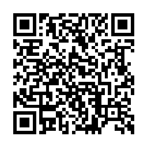 但是又深深地信任杨玲珑和自己只是单纯地对战二维码生成