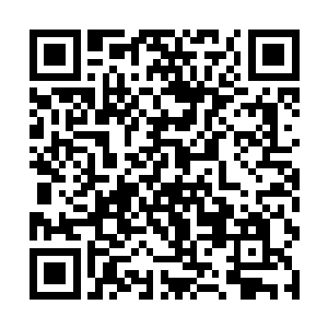 但是发觉主人似乎完全没有注意到这有什么不对之后二维码生成