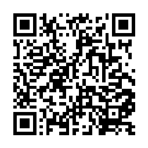 但是古武世家这么多家族有着这么多的人手在这里二维码生成