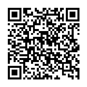 但是只听一声脆响她那削铁如泥的宝剑也是无功而返二维码生成