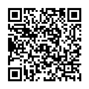 但是只有克里兰德家族中有足够资质的人才能戴上二维码生成