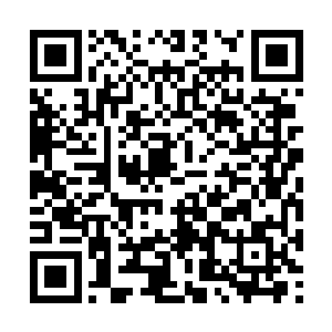 但是只要天元家主肯全力助我突破到主神境便足以二维码生成